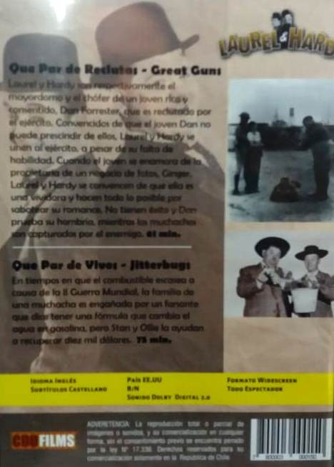 LAUREL Y HARDY - QUE PAR DE RECLUTAS / QUE PAR DE VIVOS - Imagen 2