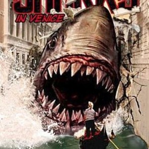 SHARKS IN VENICE