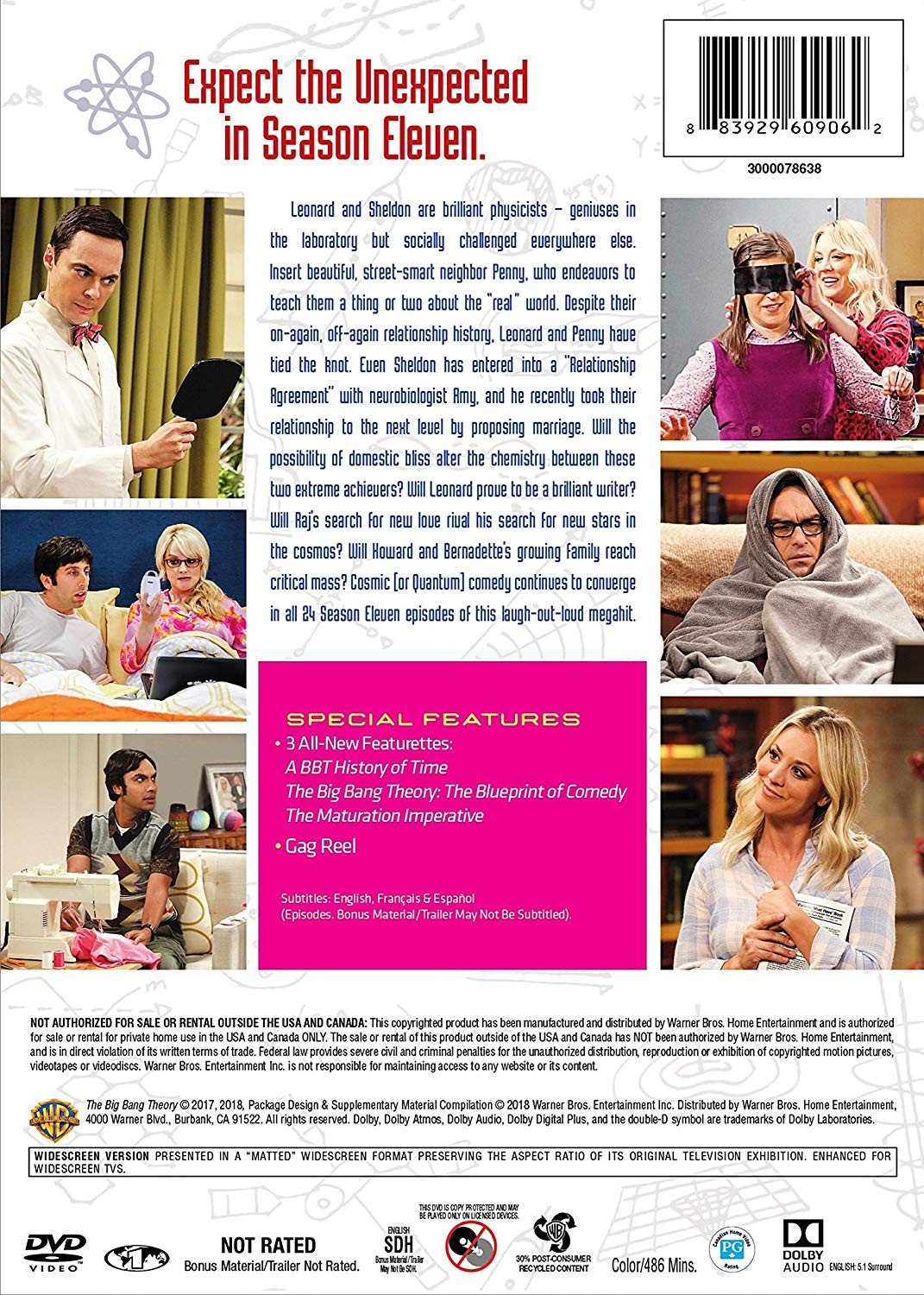 THE BIG BANG THEORY - 11 SEASON - Imagen 2