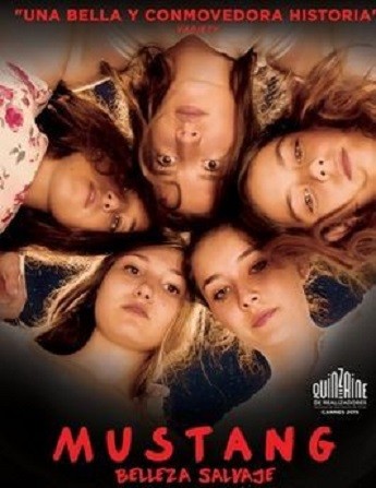 MUSTANG - BELLEZA SALVAJE