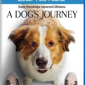 A DOGS JOURNEY