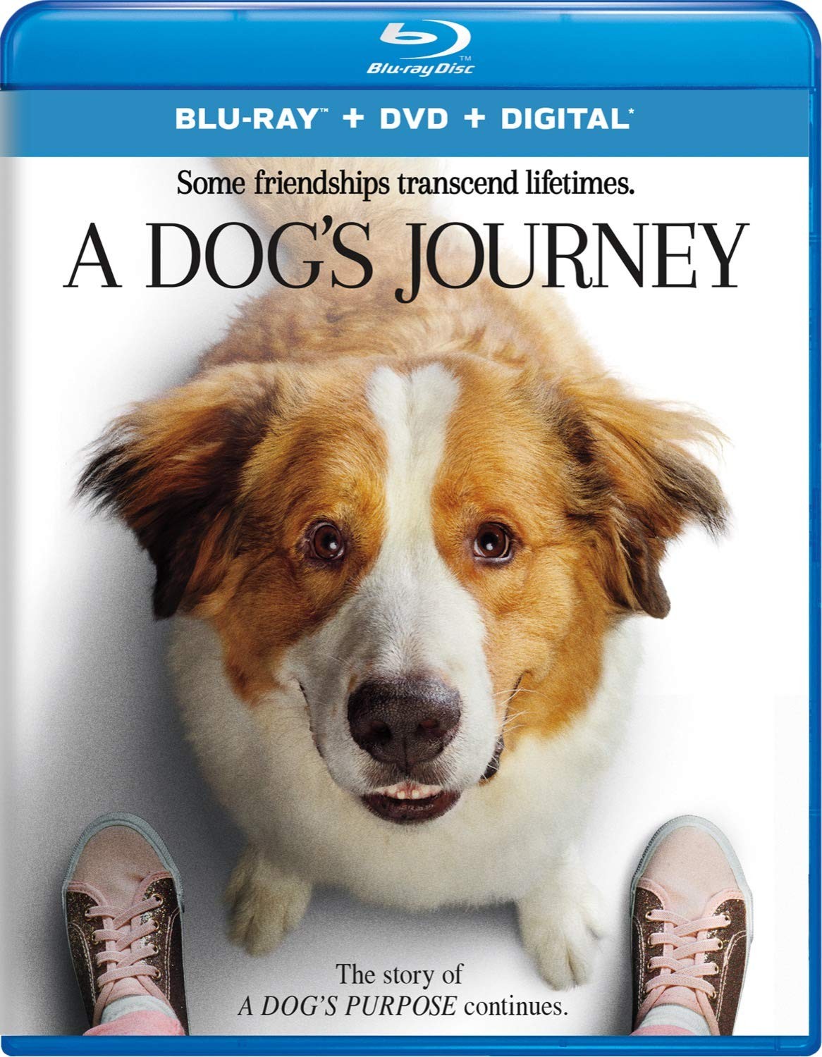 A DOGS JOURNEY