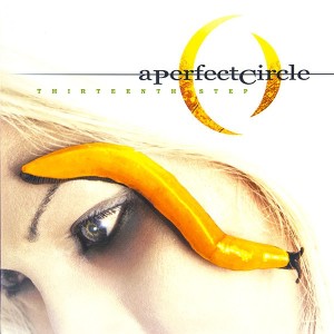 A PERFECT CIRCLE - THIRTEENTH STEP