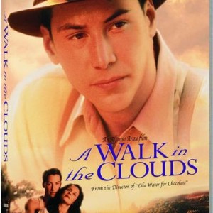 A WALK IN THE CLOUDS