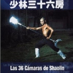 36 CAMARAS DE SHAOLIN