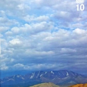 LOS ANDES - CUMBRES MILENARIAS - VOL 10