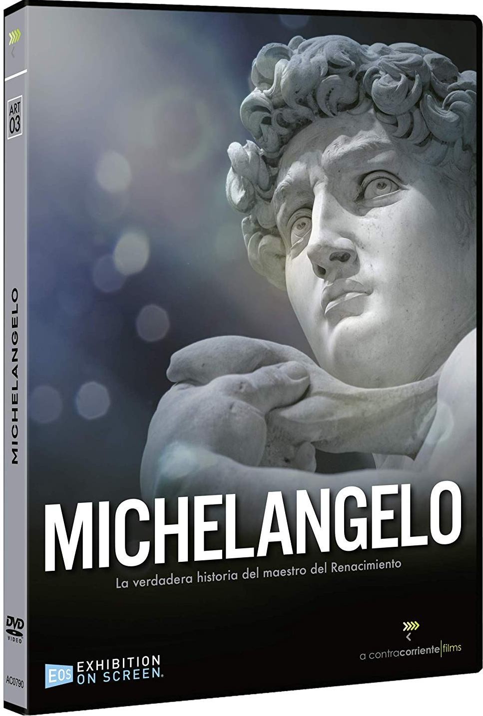 MICHELANGELO