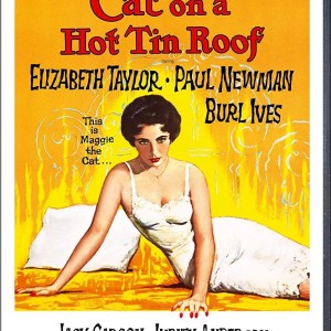 CAT ON A HOT TIN ROOF