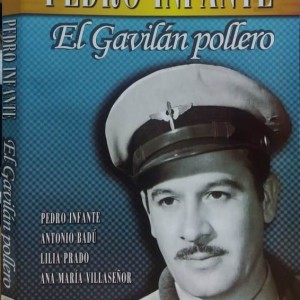 EL GAVILAN POLLERO