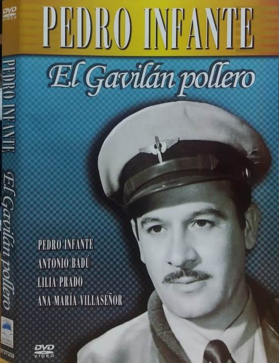 EL GAVILAN POLLERO