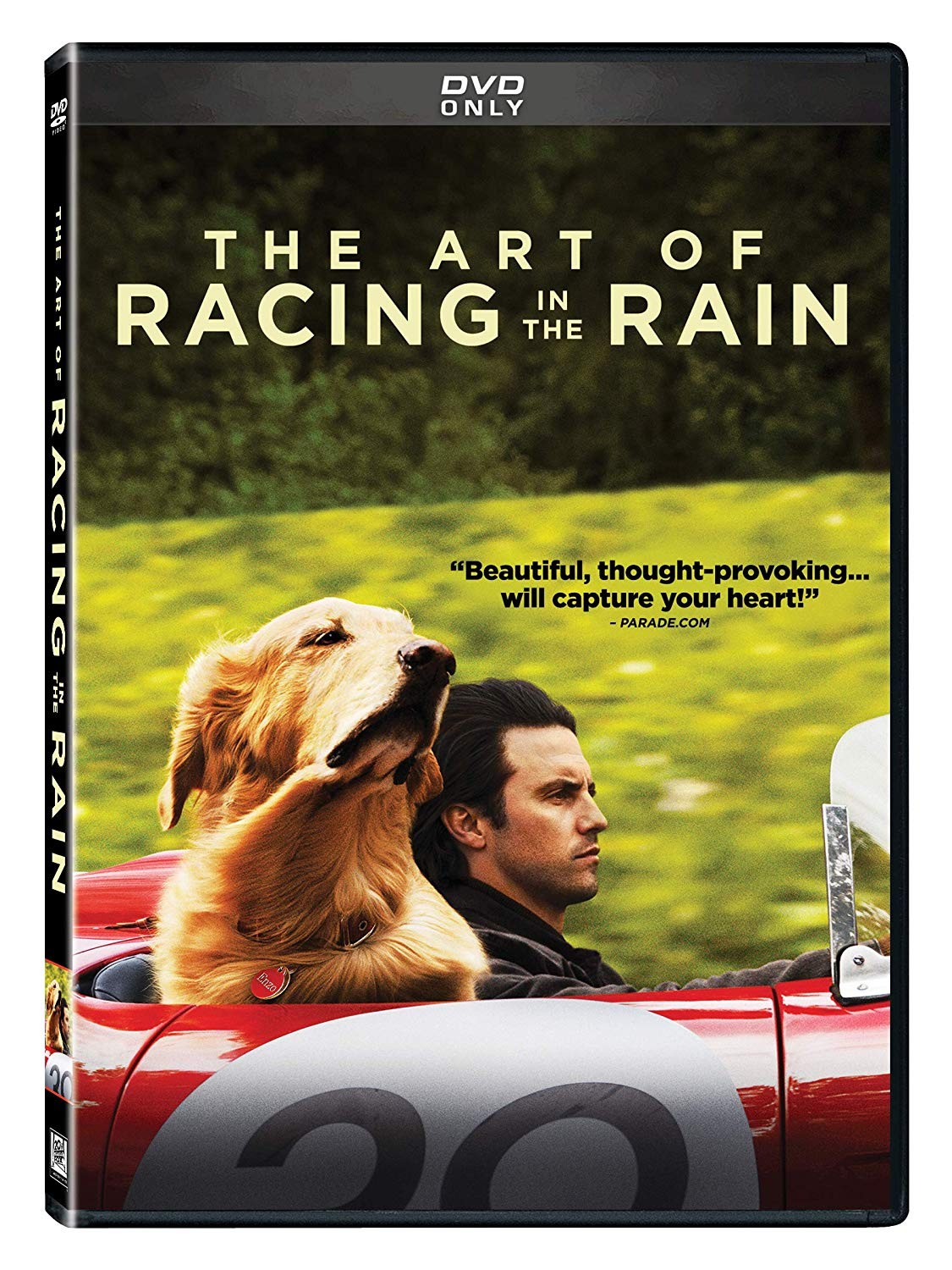 THE ART OF RACING IN THE RAIN
