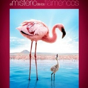 EL MISTERIO DE LOS FLAMENCOS