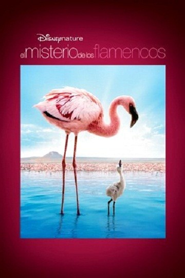 EL MISTERIO DE LOS FLAMENCOS