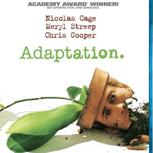 ADAPTATION