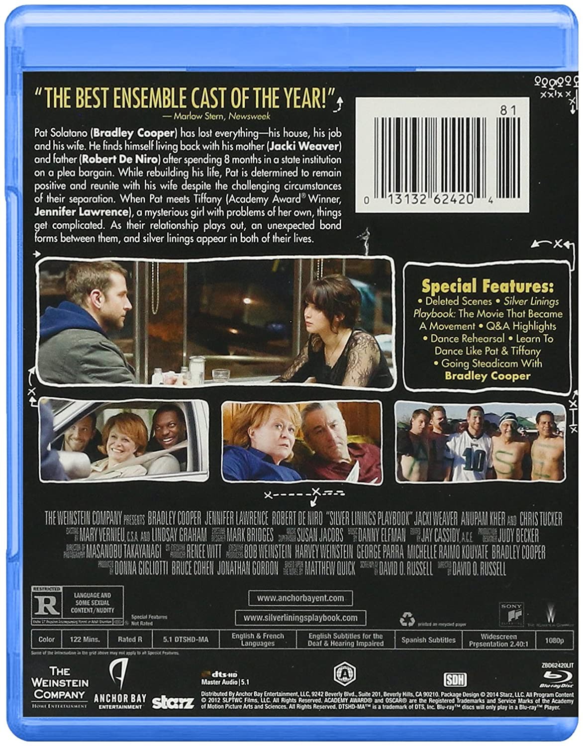 SILVER LININGS PLAYBOOK - Imagen 2