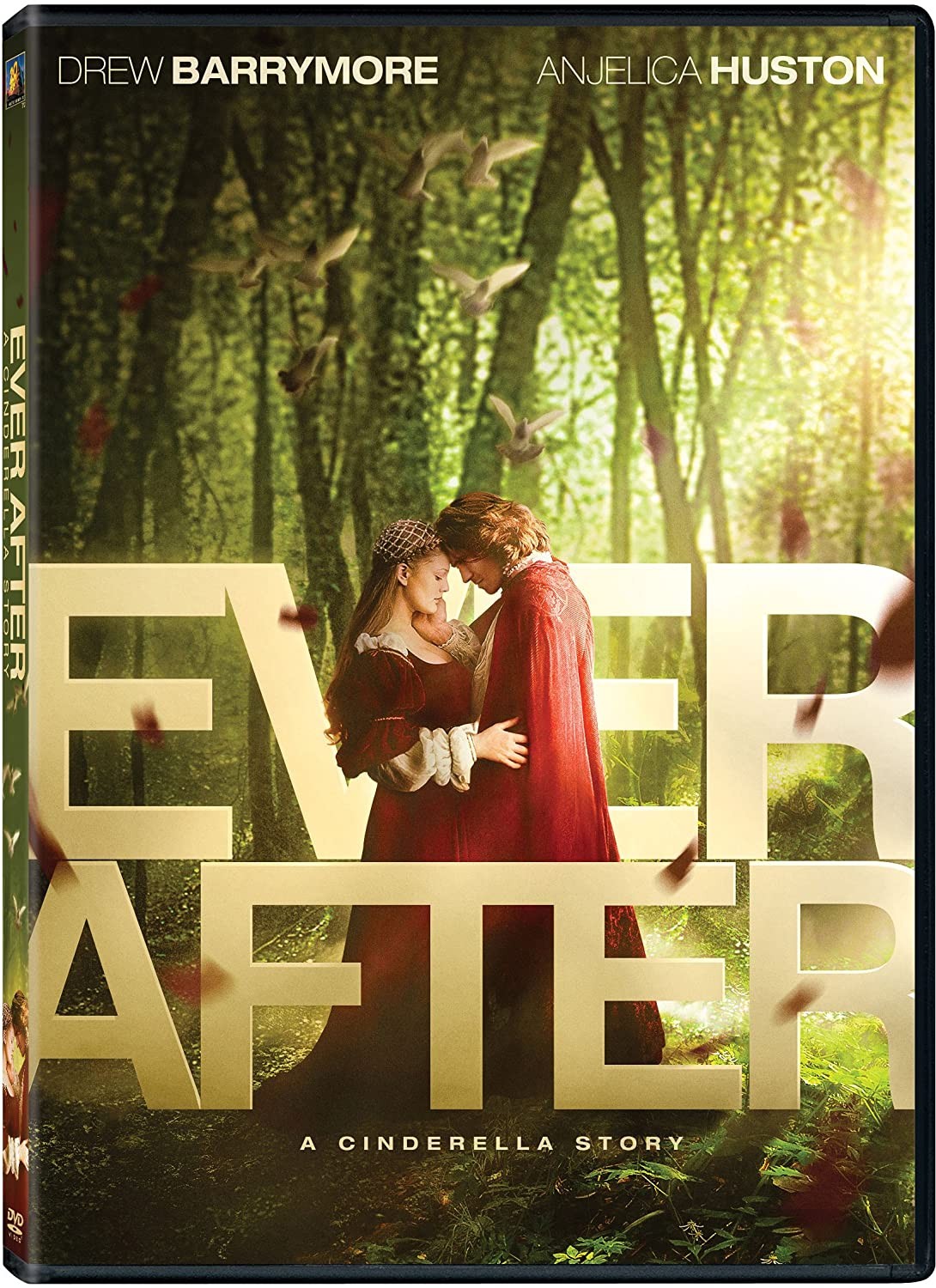 EVER AFTER - A CINDERELLA STORY