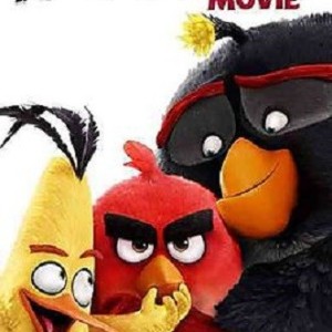 THE ANGRY BIRDS - THE MOVIE