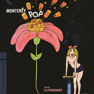 MONTEREY POP FESTIVAL