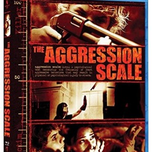 THE AGGRESSION SCALE