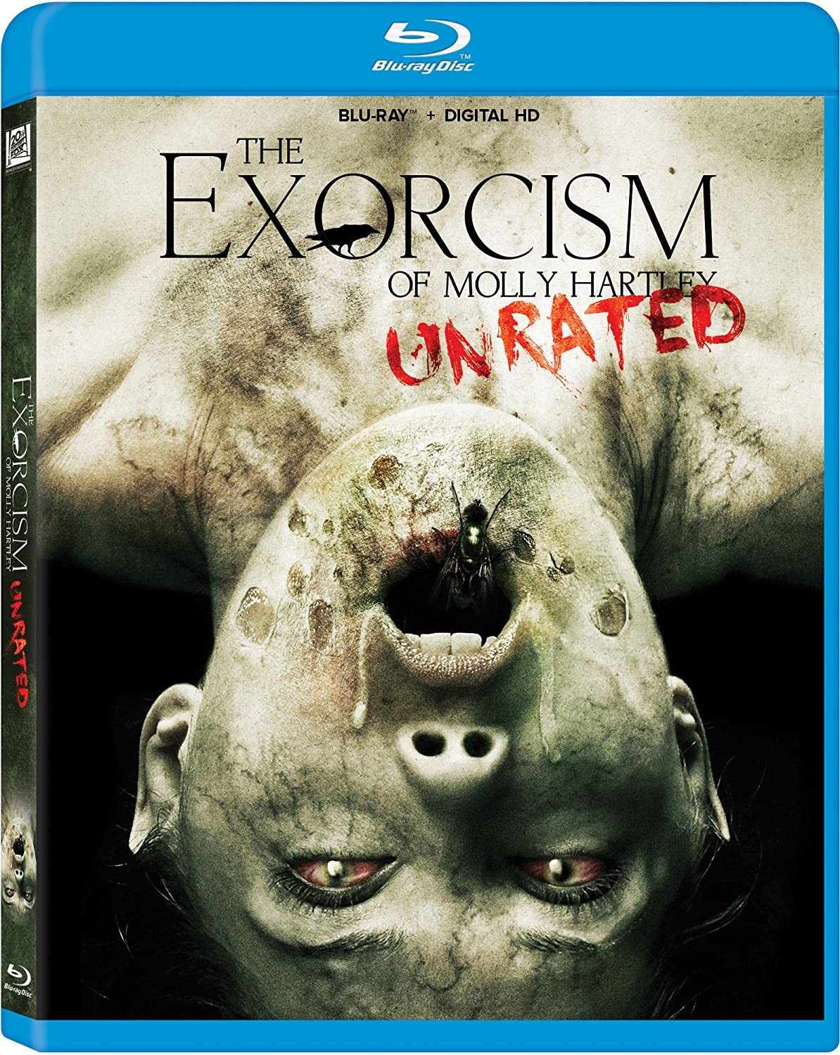 THE EXORCISM MOLLY HARTLEY – America Dvd