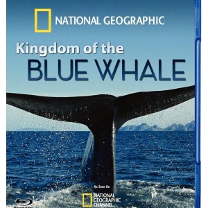 KINGDOM OF THE BLUE WHALE