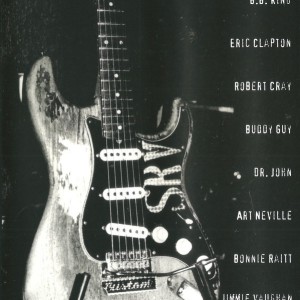 A TRIBUTE TO STEVIE RAY VAUGHAN - VARIOS ARTISTAS