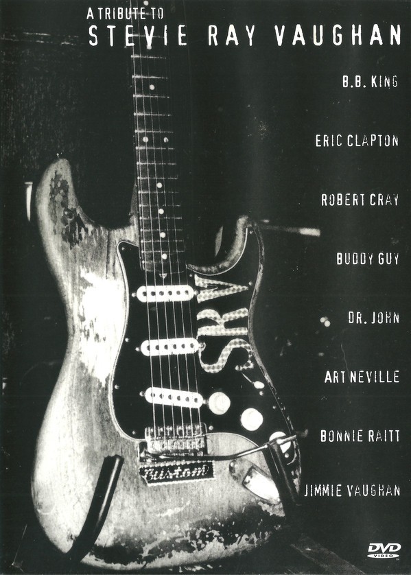 A TRIBUTE TO STEVIE RAY VAUGHAN - VARIOS ARTISTAS