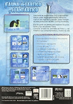 ARTICO Y ANTARTICO - Imagen 2