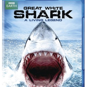 GREAT WHITE SHARK - A LIVING LEGEND