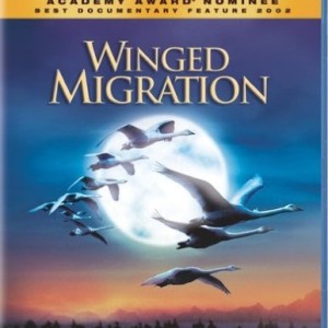 WINGED MIGRATION