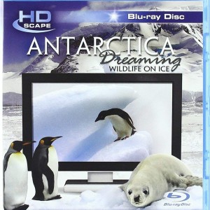 ANTARTICA DREAMING
