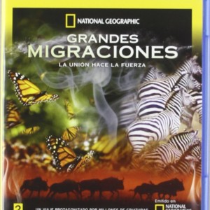 GRANDES MIGRACIONES - LA UNION HACE LA FUERZA - NATIONAL GEOGRAPHIC