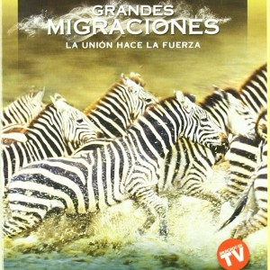 GRANDES MIGRACIONES - NATIONAL GEOGRAPHIC