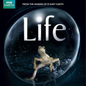 BBC - LIFE