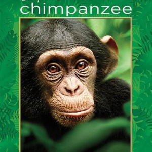 DISNEYNATURE - CHIMPANZEE