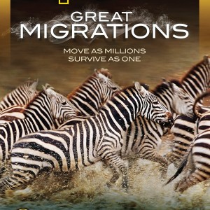 GREAT MIGRATIONS - NATIONAL GEOGRAPHIC