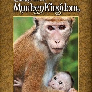 DISNEYNATURE - MONKEY KINGDOM