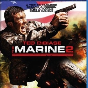 THE MARINE 2