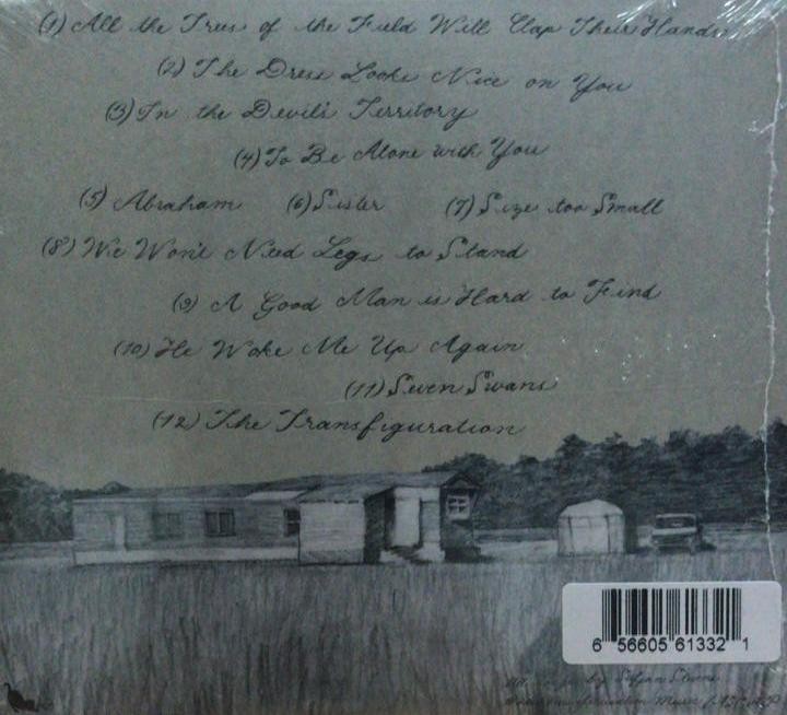 SUFJAN STEVENS - SEVEN SWANS - Imagen 2