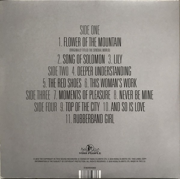 KATE BUSH - DIRECTORS CUT - Imagen 2