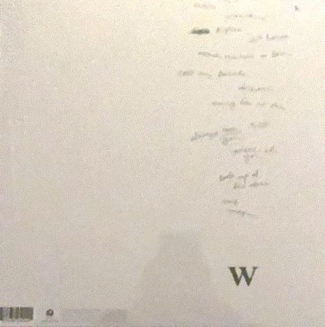 SHAWN MENDES - WONDER - Imagen 2