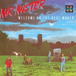 MR MISTER - WELCOME TO THE REAL WORLD