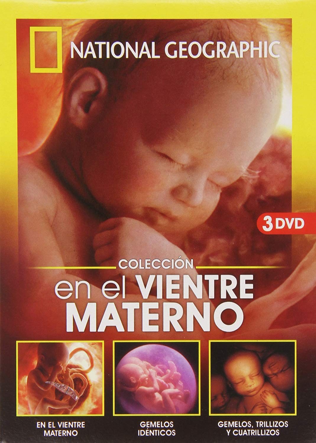 EN EL VIENTRE MATERNO - COLECCIÓN