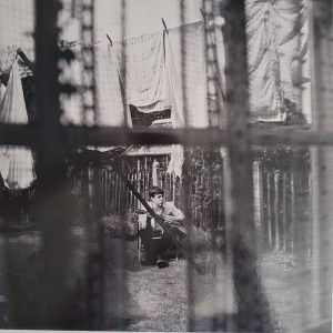 PAUL MCCARTNEY - CHAOS AND CREATION IN THE BACKYARD