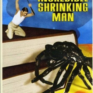 THE INCREDIBLE SHRINKING MAN