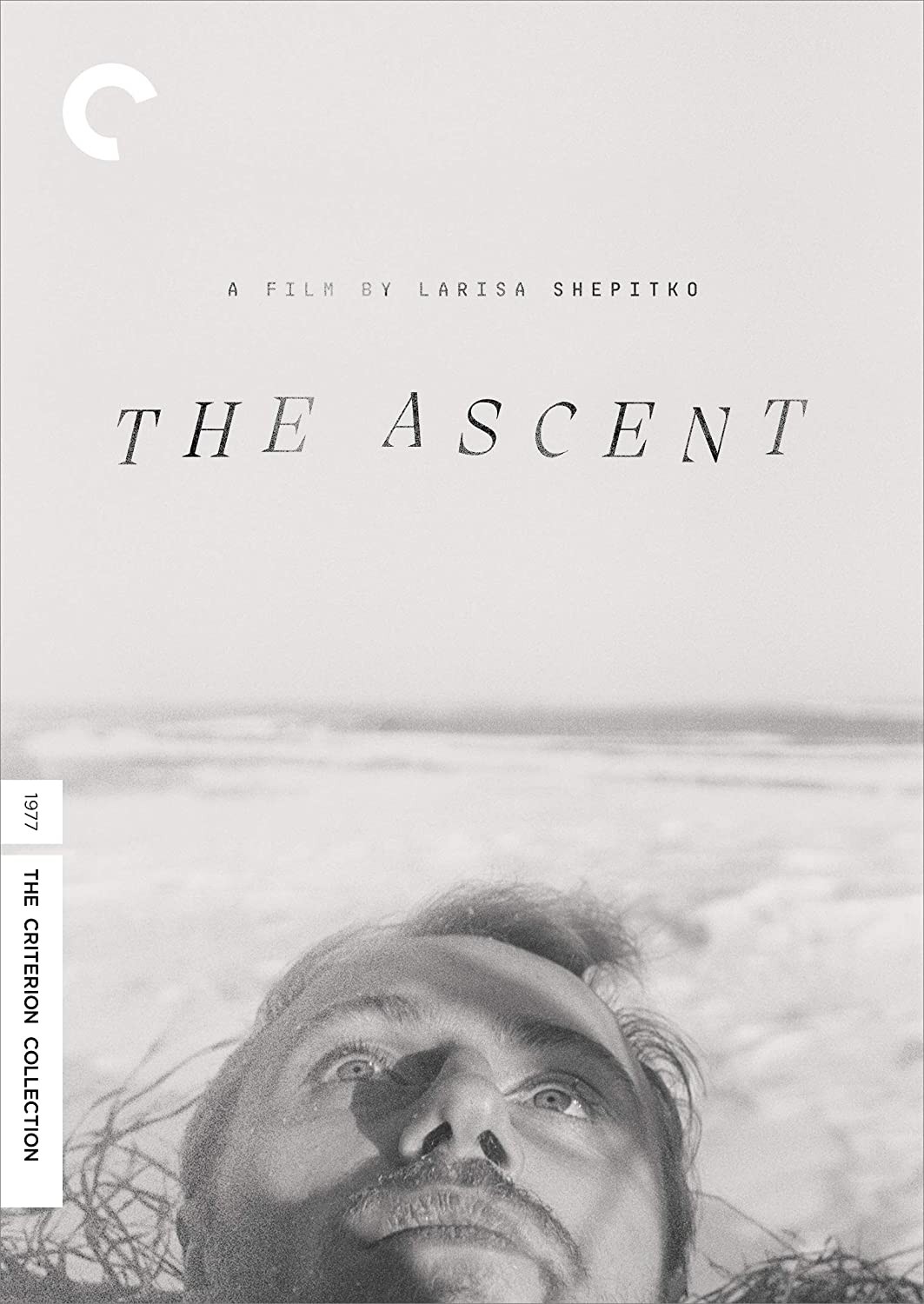 THE ASCENT (Subtítulos en Inglés)