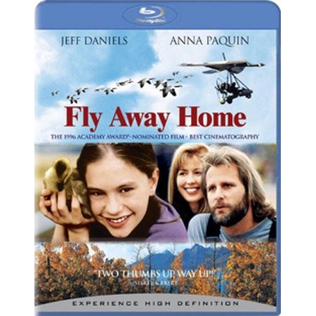 FLY AWAY HOME