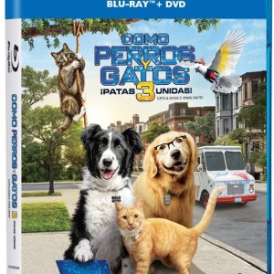 COMO PERROS Y GATOS 3 - ¡ PATAS UNIDAS !