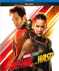 ANT MAN AND THE WASP