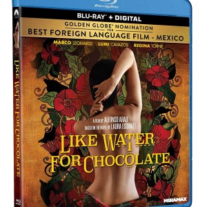 LIKE WATER FOR CHOCOLATE - COMO AGUA PARA CHOCOLATE